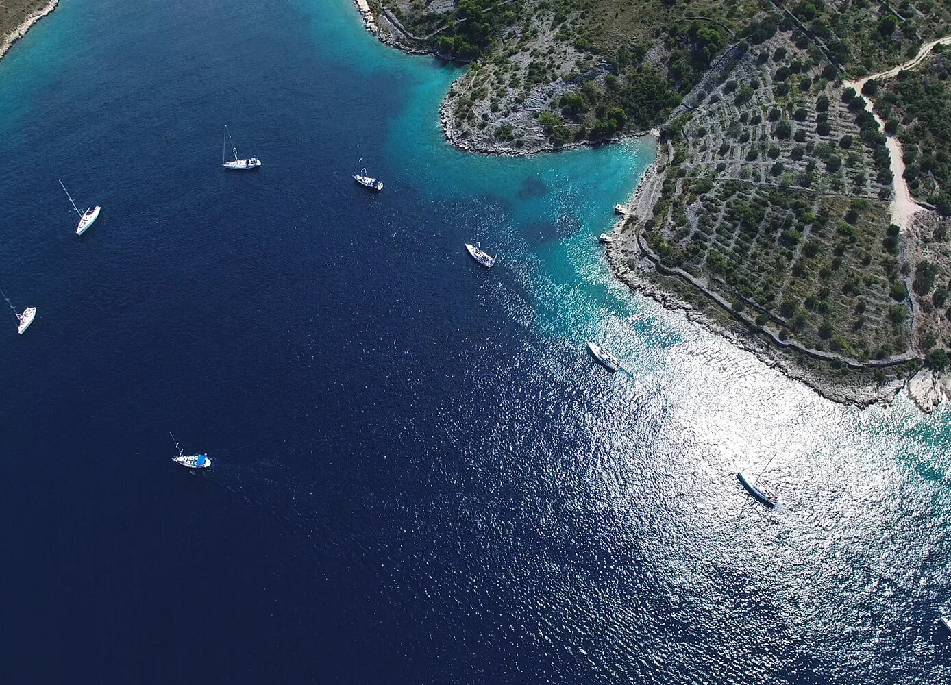 SAVE TIME ANS MAKE INFORMED DECISIONS